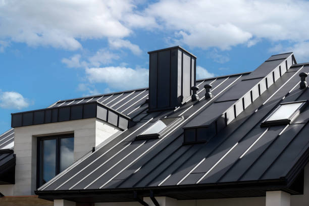 Best Steel Roofing  in Winter Garden, FL